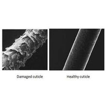 Charger l'image dans la galerie, Chebe Hair Care Kit - Stimugro